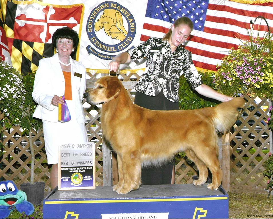 caribbean goldens Masters Thunder Storm thunder
